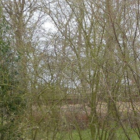 Freesteil Hohwacht Buitenkant foto