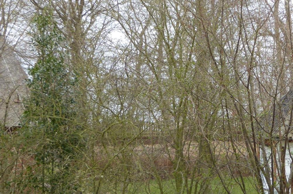 Freesteil Hohwacht Buitenkant foto